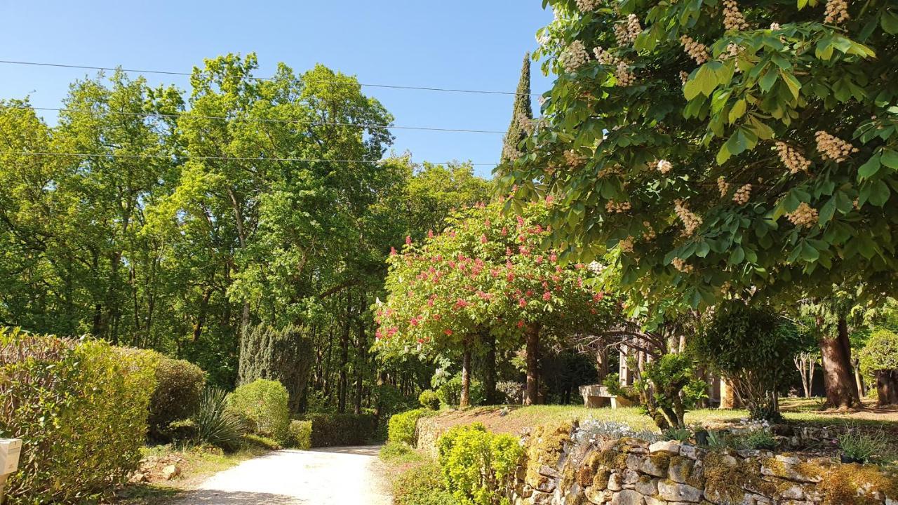 Domaine Du Cardou Hotel Puy-lʼÉvêque Bagian luar foto