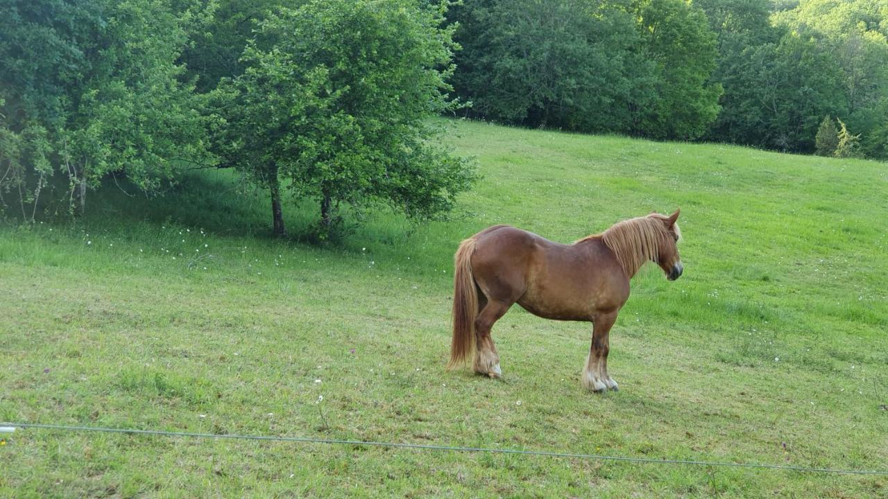 Domaine Du Cardou Hotel Puy-lʼÉvêque Bagian luar foto