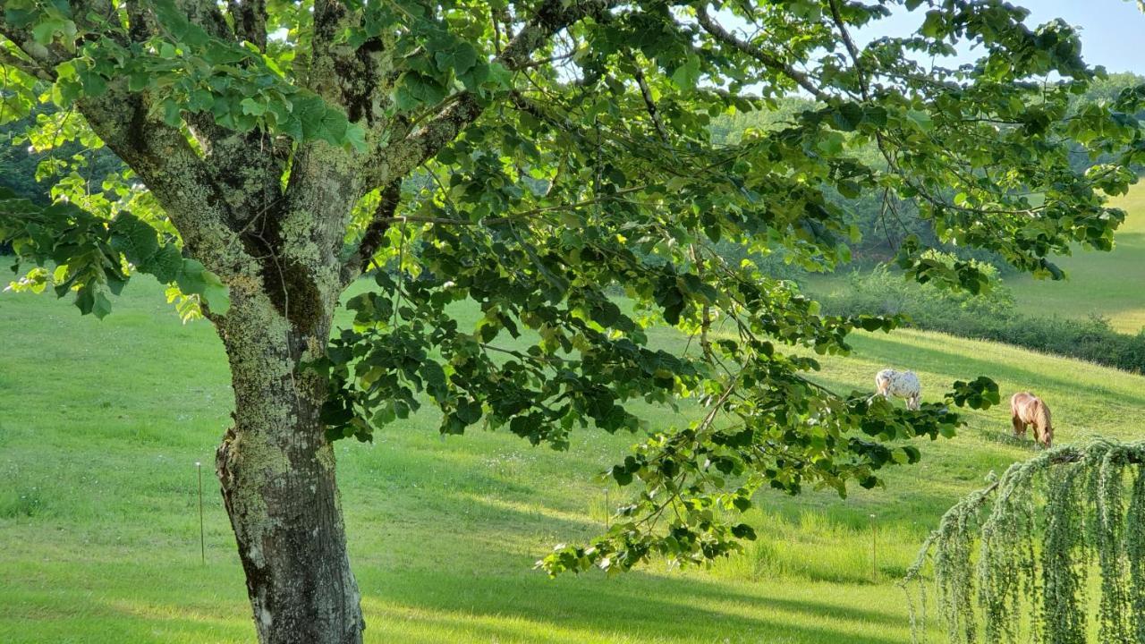 Domaine Du Cardou Hotel Puy-lʼÉvêque Bagian luar foto