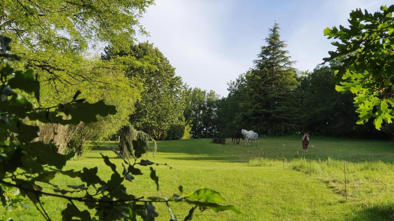 Domaine Du Cardou Hotel Puy-lʼÉvêque Bagian luar foto